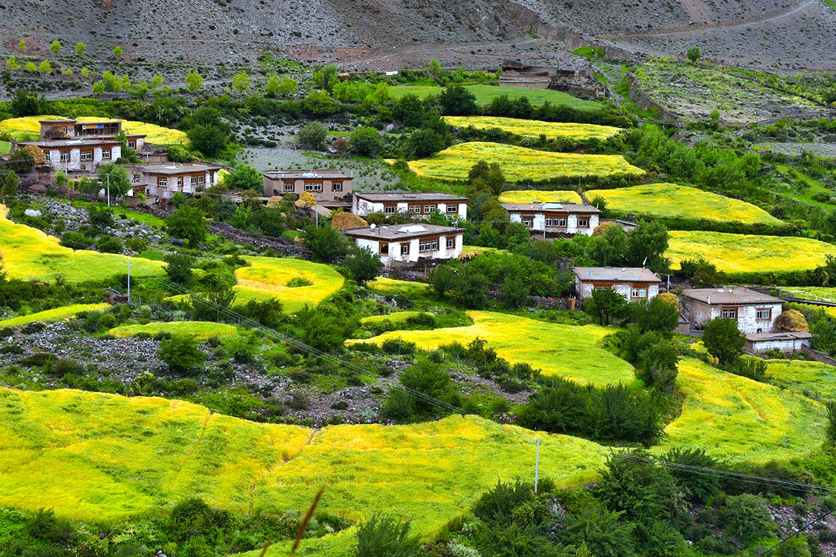 Landscape of Baxoi